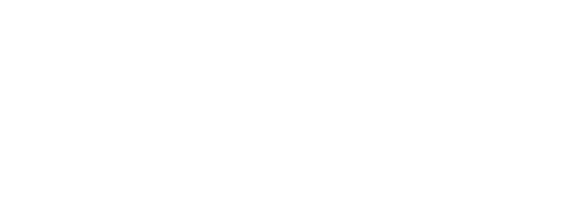 Alpha Star Consulting Group